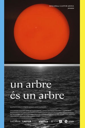 Un arbre és un arbre