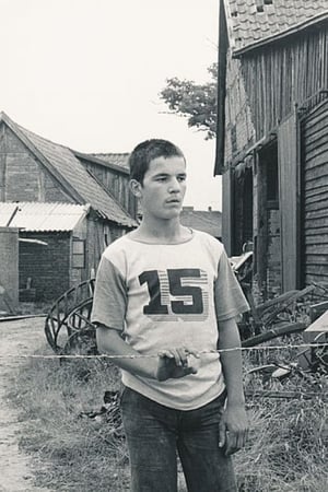Paule Pauländer