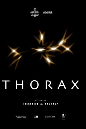 Thorax