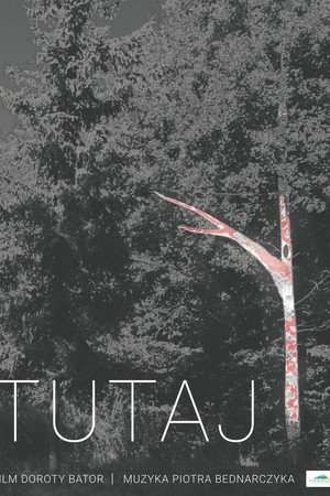 Tutaj