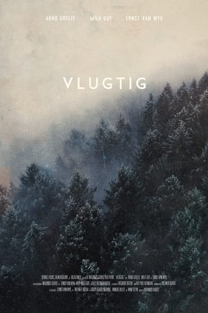 Vlugtig
