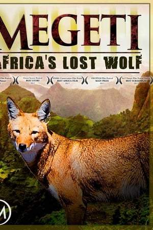 Megeti - Africa's Lost Wolf