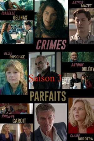 Crimes parfaits第3季