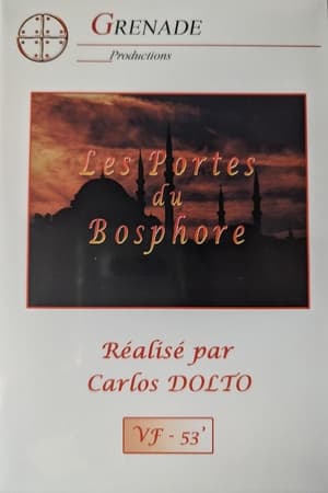 Le gros homme et la mer - Carlos aux portes du Bosphore