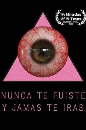 NUNCA TE FUISTE Y JAMAS TE IRAS
