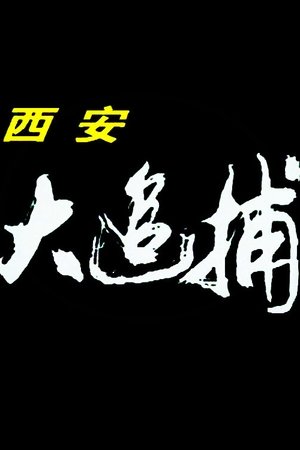 西安大追捕