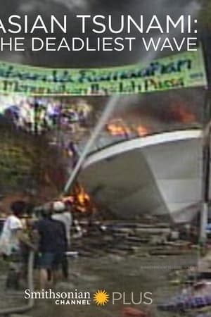 Asian Tsunami: The Deadliest Wave