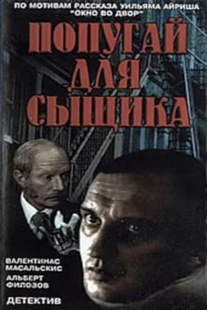 Окно напротив