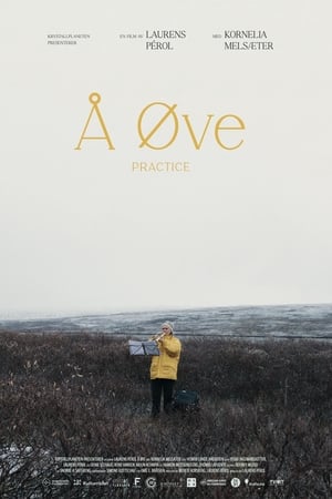 Å øve