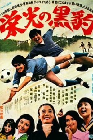 栄光の黒豹