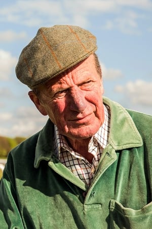 Searching for Shergar