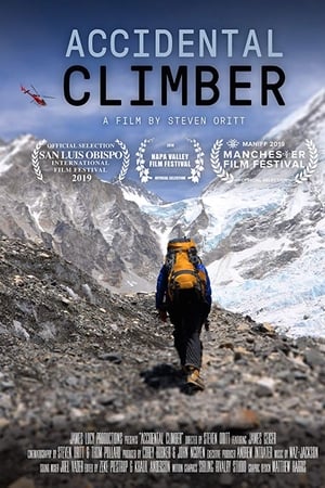 Accidental Climber