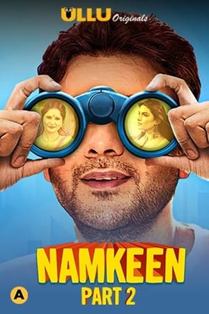 Namkeen第2季
