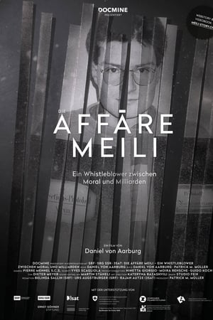 Die Affäre Meili