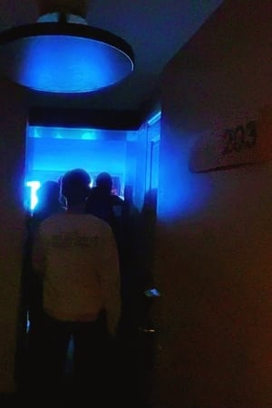 Chambre 203