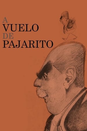 A vuelo de pajarito