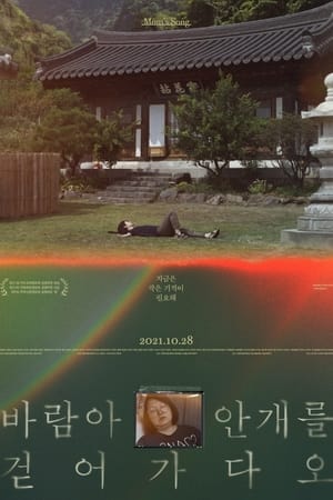 바람아 안개를 걷어가다오