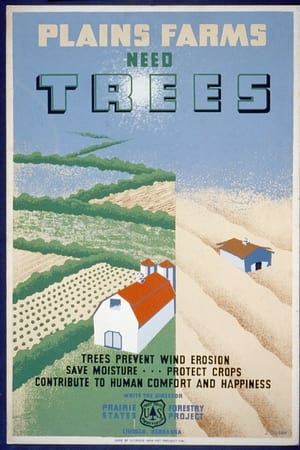 Windbreaks on the Prairies