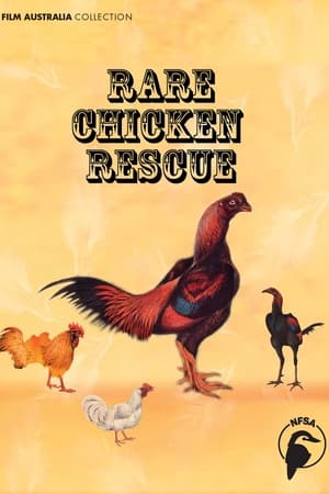 Rare Chicken Rescue