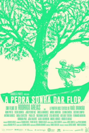 A pedra sonha dar flor