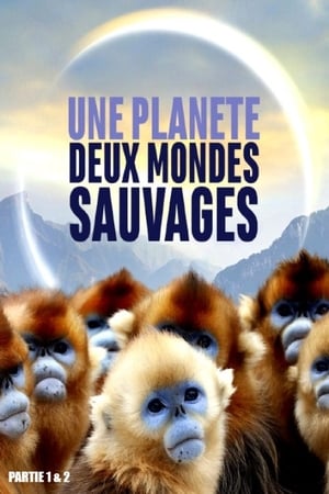 Une planète, deux mondes sauvages