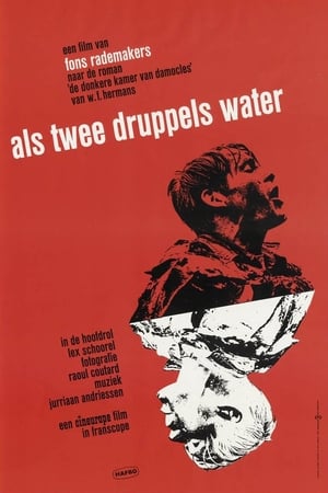 Als twee druppels water
