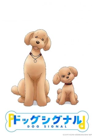 爱犬指令