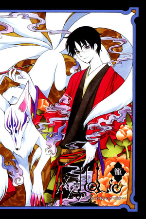 xxxholic 笼