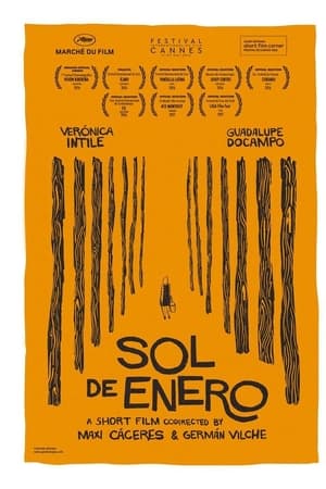 Sol de enero