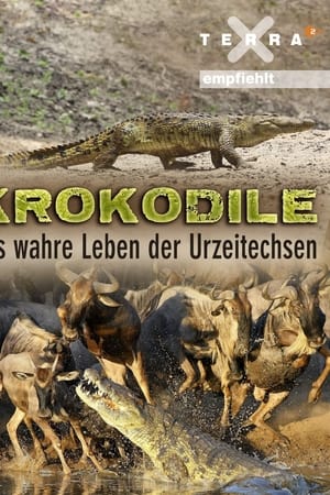 Krokodile - das wahre Leben der Urzeitechsen