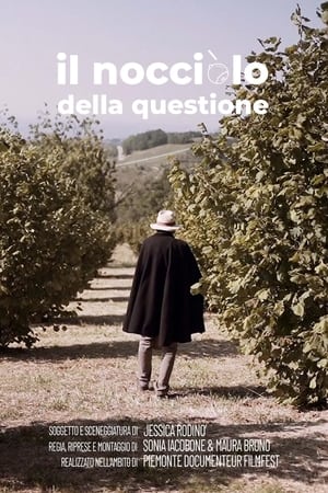 Il nocciolo della questione