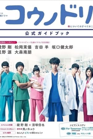 产科医鸿鸟第 2 季