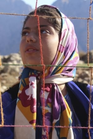 کچی شین