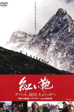 心跳墨脱