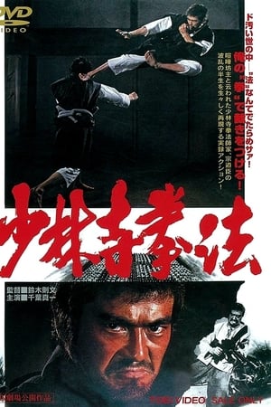 少林寺拳法