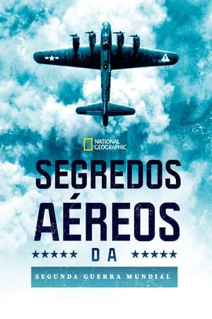 World War II: Secrets from Above
