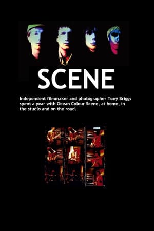 Scene