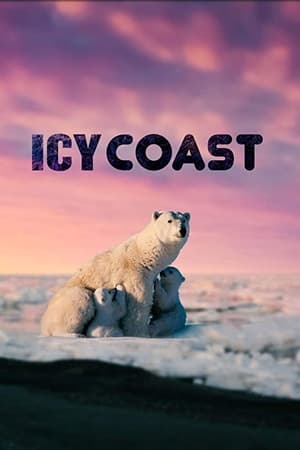 Icy Coasts