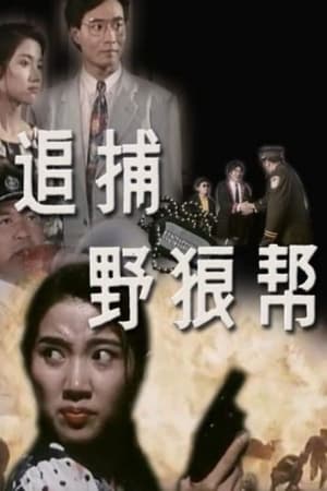 野狼帮