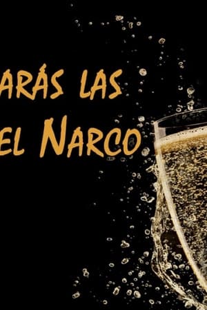 Santificarás las Fiestas de Narcos