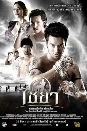 泰南拳