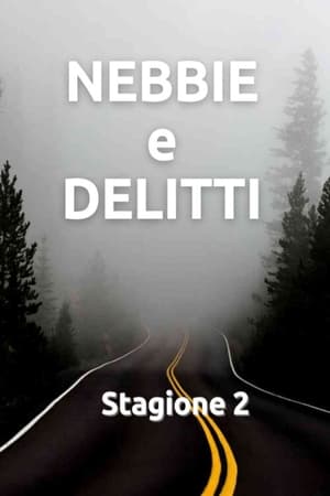 Nebbie e delitti第2季