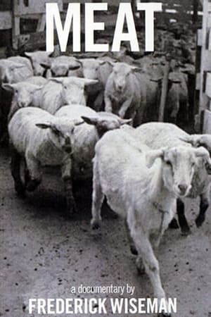 怀斯曼 肉