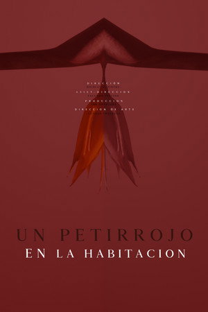Un petirrojo en la habitación