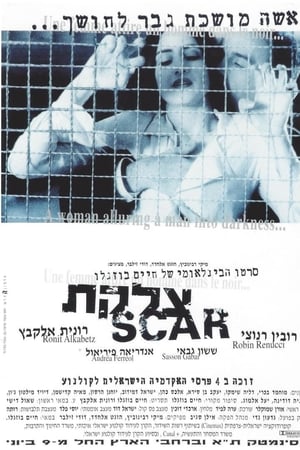 Tzaleket