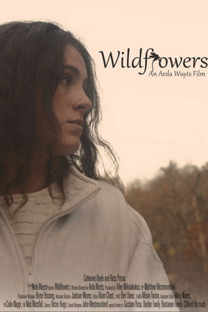 Wildflowers