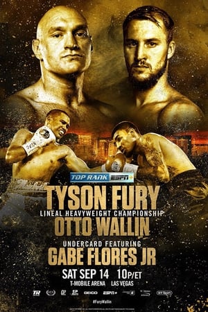 Tyson Fury vs. Otto Wallin
