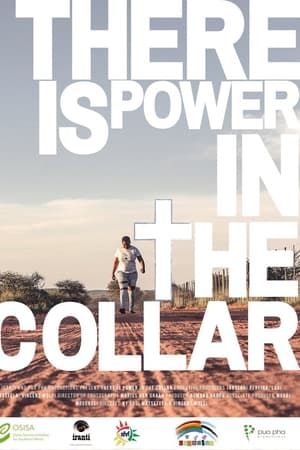 There Is Power in the Collar