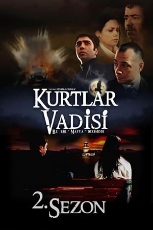 Kurtlar Vadisi第2季
