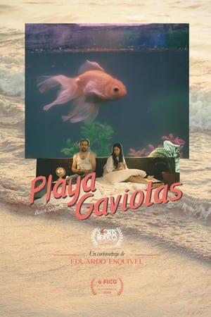Playa Gaviotas